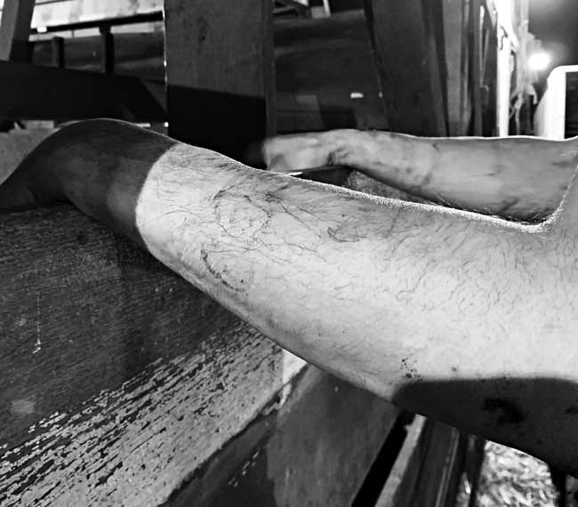 calving arms in the barn