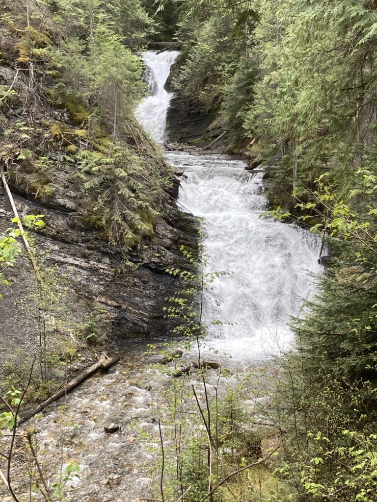Sweet Creek Falls